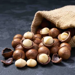 Hạt giống Macca mang lại năng suất cao